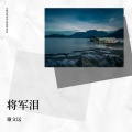 谢文远 - 将军泪