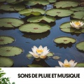 Dog Relaxation、Chiens musique、Cat Music - Rivières de mélancolie