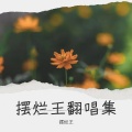 摆烂王 - 夜色DJ咚鼓版 (DJRonin remix)(摆烂王 remix)