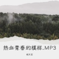 姚天宝 - 热血青春的模样.MP3