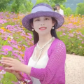 飘零啊莲 - 好一朵迎春花