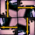 newsfeed