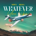 WHATEVER YOU LIKE (feat. Dessa & VS) [Explicit]