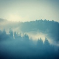 Still Waters - Build My Life