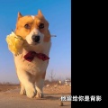 404Hz - 他留给你是背影