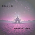 Sleep in the Cosmos