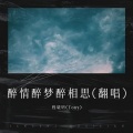 醉情醉梦醉相思(翻唱)