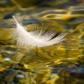 Deep Sleep Hypnosis Masters、REM Deep Sleep、Delta Waves!、Trouble Sleeping Music Universe、Sleep Music! - Whispers of the Infinite