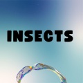 Marius Minune - Insects