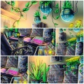 Dimo Labs、PlantWave - Plant Music, Pt. 2