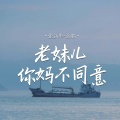 张新华 - 老妹儿 你妈不同意
