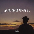 把悲伤留给自己 (DJ默涵版)