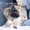 My Little Pussycats