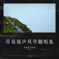 草莓瑞声风华 - 浓情