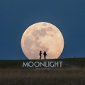Moonlight
