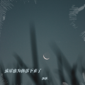 执筝. - 流星也为你落下来了