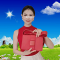 飘零啊莲 - 欢乐年年