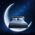 Frecuencias de solfeo 528 Hz、Pájaros de la noche、Lluvia mundo - Vibraciones De Descanso Tranquilo