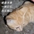 大清第一巴图鲁 - 哈基米像一颗巨石按在胸口