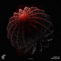 Vinnie Ace - Hum