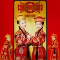 王雪晶、金燕子 - 金獅拜年