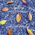 Falling Leaves