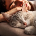 Armonía Vibracional、Gato Dormido y Relajado、Gatos Calmantes - Fluidez Felino En Ritmo