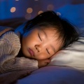 Zen Life Relax、Cat Music Hour、Cat Music Relaxation - Sweet Sounds for Baby's Night