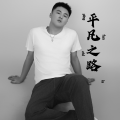 刘文龙 - 美丽的遗憾