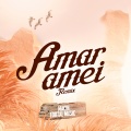 Amar, Amei (Remix)