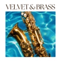 Jazz Music Collection、Jazz Piano、Smooth Jazz Restaurant - Quiet Storm Tunes