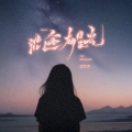 沈万万 - 沿途有星光