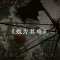 浩鹏 - 勉为其难