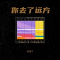 陈保才 - 你去了远方