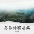 思软诗 - 褪黑素