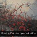 Japanese Relaxation and Meditation、Asian Zen Meditation、Healing Oriental Spa Collection - Eternal Zen Path