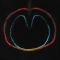 XTC - Stupidly Happy