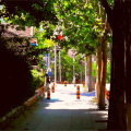 New Journey