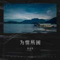 倪金茂 - 为情所困