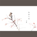 冷晨 - 孤独与我