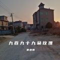 夏遇明 - 九百九十九朵玫瑰