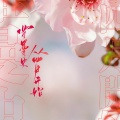 飞云系