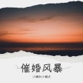 催婚风暴