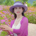 飘零啊莲 - 娶你不后悔
