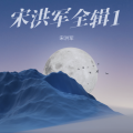 宋洪军 - 爱情常遇暴风雨