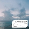 DJ旺仔 - 狂风惊雷卷走梦