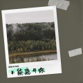 孤独的阿铭 - 繁花依旧