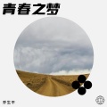 青春之梦