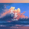 刘晓超 - 太多
