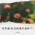 相思遥（DJ版）
